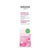 WELEDA Rosa Mosqueta Contorno Occhi Levigante -Dr. Hauschka Negozio IT978596993 p1