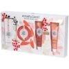 ROGER&GALLET Cofanetto Acqua Profumata Di Benessere FLEUR DE FIGUIER -Dr. Hauschka Negozio IT984788113 p10